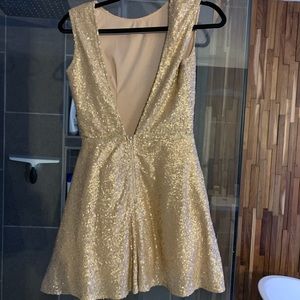 Tobi Champagne Sequin Skater Dress